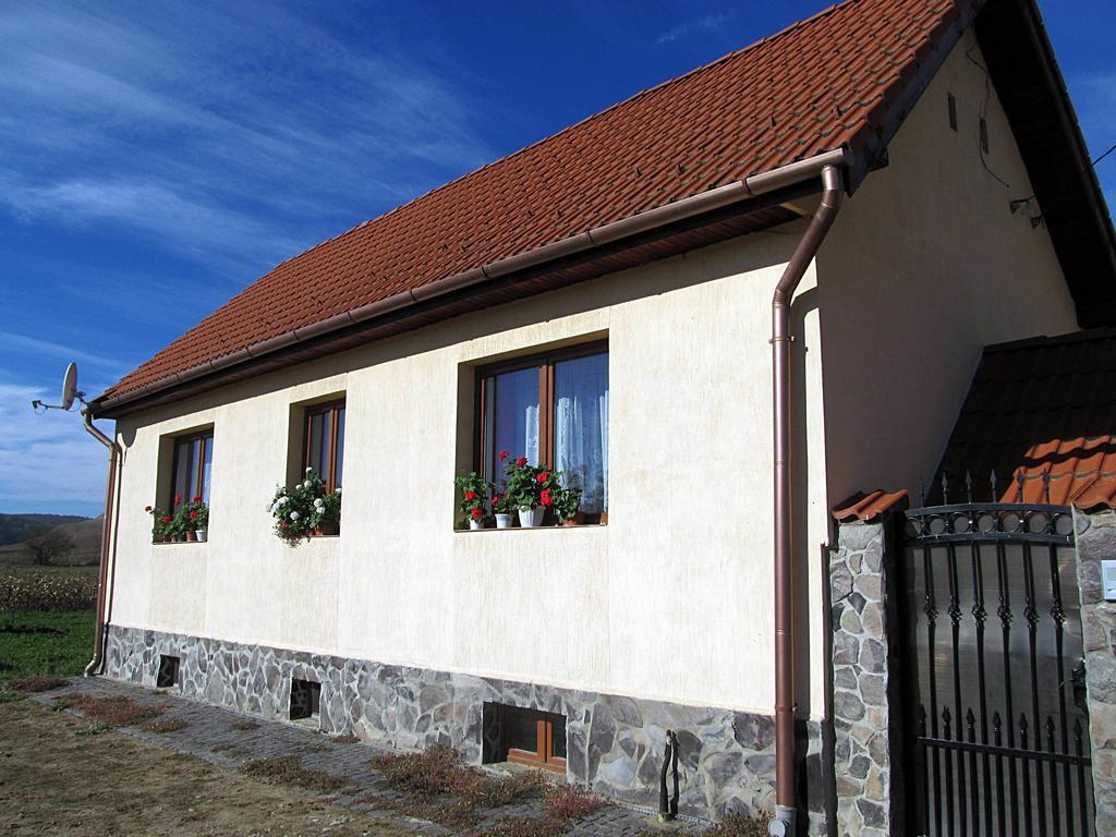 Villa Casa Simion Sibiu Exterior foto